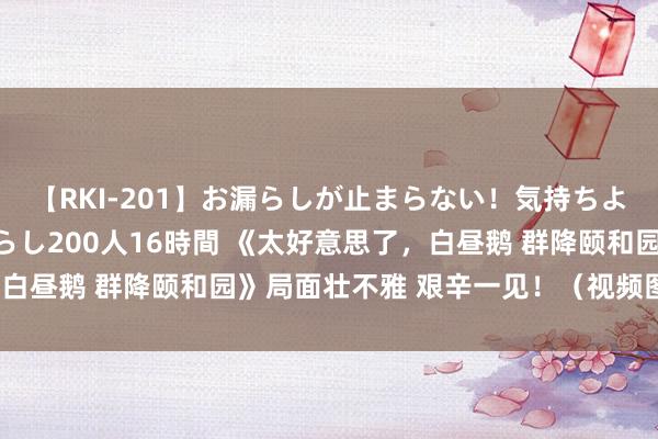 【RKI-201】お漏らしが止まらない！気持ちよすぎる失禁・羞恥お漏らし200人16時間 《太好意思了，白昼鹅 群降颐和园》局面壮不雅 艰辛一见！（视频图文音画）