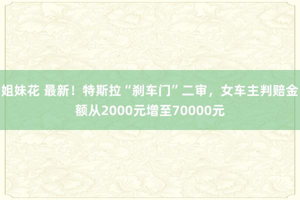 姐妹花 最新！特斯拉“刹车门”二审，女车主判赔金额从2000元增至70000元