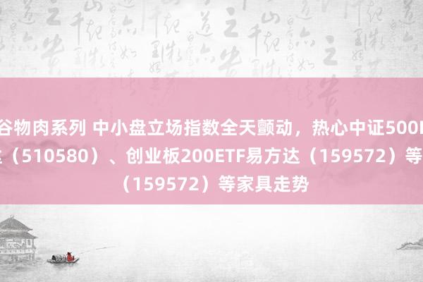 谷物肉系列 中小盘立场指数全天颤动，热心中证500ETF易方达（510580）、创业板200ETF易方达（159572）等家具走势