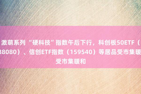 激萌系列 “硬科技”指数午后下行，科创板50ETF（588080）、信创ETF指数（159540）等居品受市集暖和