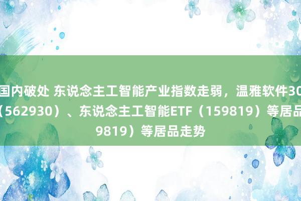 国内破处 东说念主工智能产业指数走弱，温雅软件30ETF（562930）、东说念主工智能ETF（159819）等居品走势