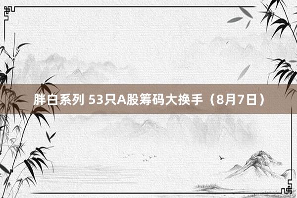 胖白系列 53只A股筹码大换手（8月7日）