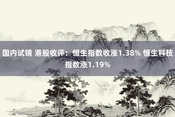 国内试镜 港股收评：恒生指数收涨1.38% 恒生科技指数涨1.19%