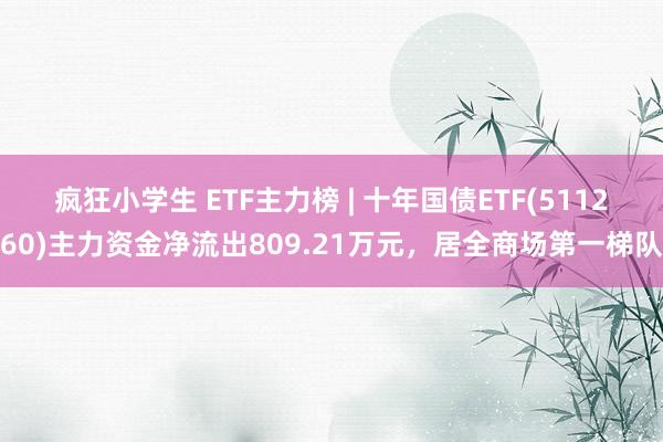 疯狂小学生 ETF主力榜 | 十年国债ETF(511260)主力资金净流出809.21万元，居全商场第一梯队