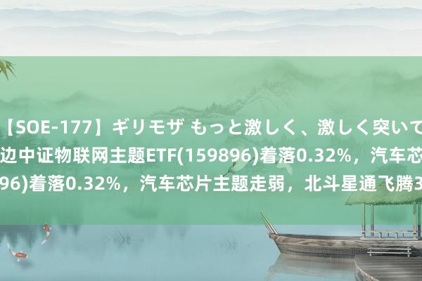 【SOE-177】ギリモザ もっと激しく、激しく突いて Ami ETF最前列 | 南边中证物联网主题ETF(159896)着落0.32%，汽车芯片主题走弱，北斗星通飞腾3.18%