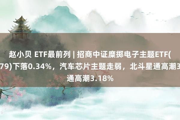 赵小贝 ETF最前列 | 招商中证糜掷电子主题ETF(159779)下落0.34%，汽车芯片主题走弱，北斗星通高潮3.18%