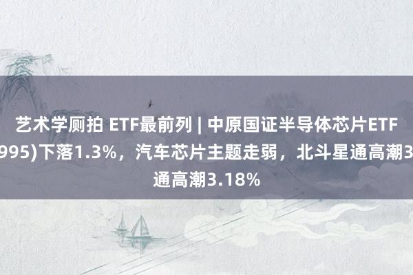 艺术学厕拍 ETF最前列 | 中原国证半导体芯片ETF(159995)下落1.3%，汽车芯片主题走弱，北斗星通高潮3.18%