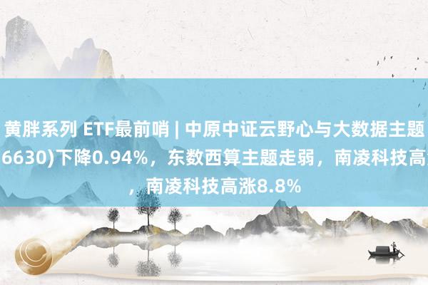 黄胖系列 ETF最前哨 | 中原中证云野心与大数据主题ETF(516630)下降0.94%，东数西算主题走弱，南凌科技高涨8.8%