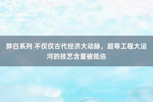 胖白系列 不仅仅古代经济大动脉，超等工程大运河的技艺含量被低估