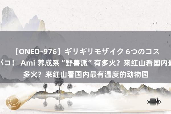 【ONED-976】ギリギリモザイク 6つのコスチュームでパコパコ！ Ami 养成系“野兽派”有多火？来红山看国内最有温度的动物园