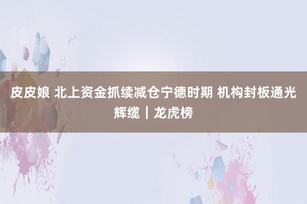 皮皮娘 北上资金抓续减仓宁德时期 机构封板通光辉缆｜龙虎榜