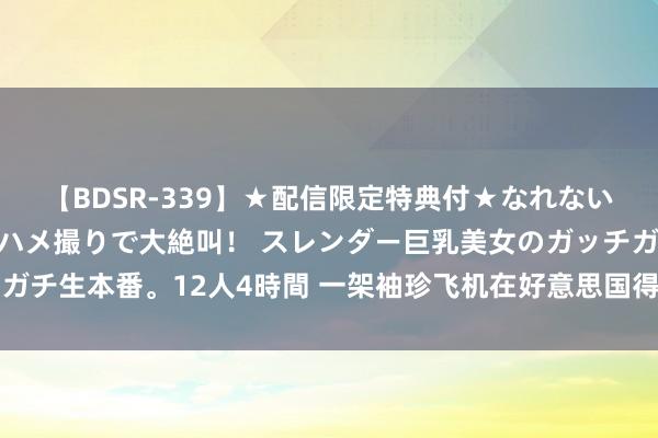 【BDSR-339】★配信限定特典付★なれない感じの新人ちゃんが初ハメ撮りで大絶叫！ スレンダー巨乳美女のガッチガチ生本番。12人4時間 一架袖珍飞机在好意思国得州坠毁 致2东谈主物化