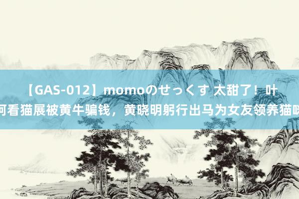 【GAS-012】momoのせっくす 太甜了！叶珂看猫展被黄牛骗钱，黄晓明躬行出马为女友领养猫咪