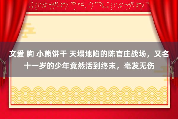 文爱 胸 小熊饼干 天塌地陷的陈官庄战场，又名十一岁的少年竟然活到终末，毫发无伤