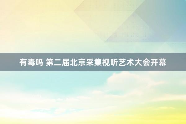 有毒吗 第二届北京采集视听艺术大会开幕