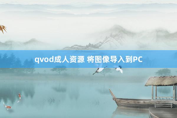 qvod成人资源 将图像导入到PC