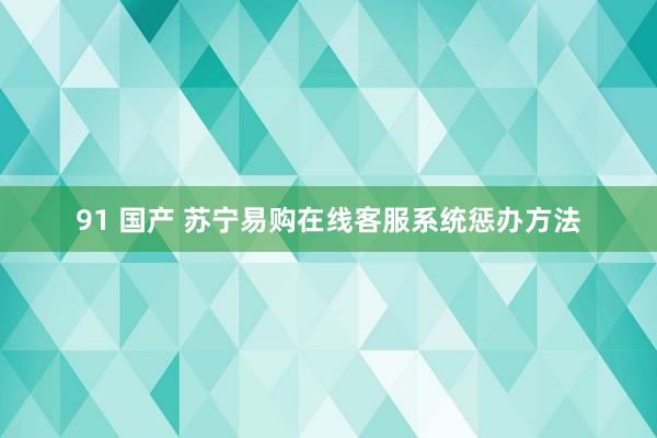 91 国产 苏宁易购在线客服系统惩办方法