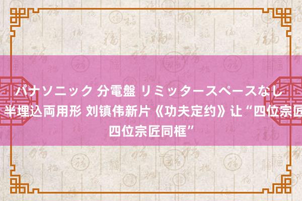 パナソニック 分電盤 リミッタースペースなし 露出・半埋込両用形 刘镇伟新片《功夫定约》让“四位宗匠同框”